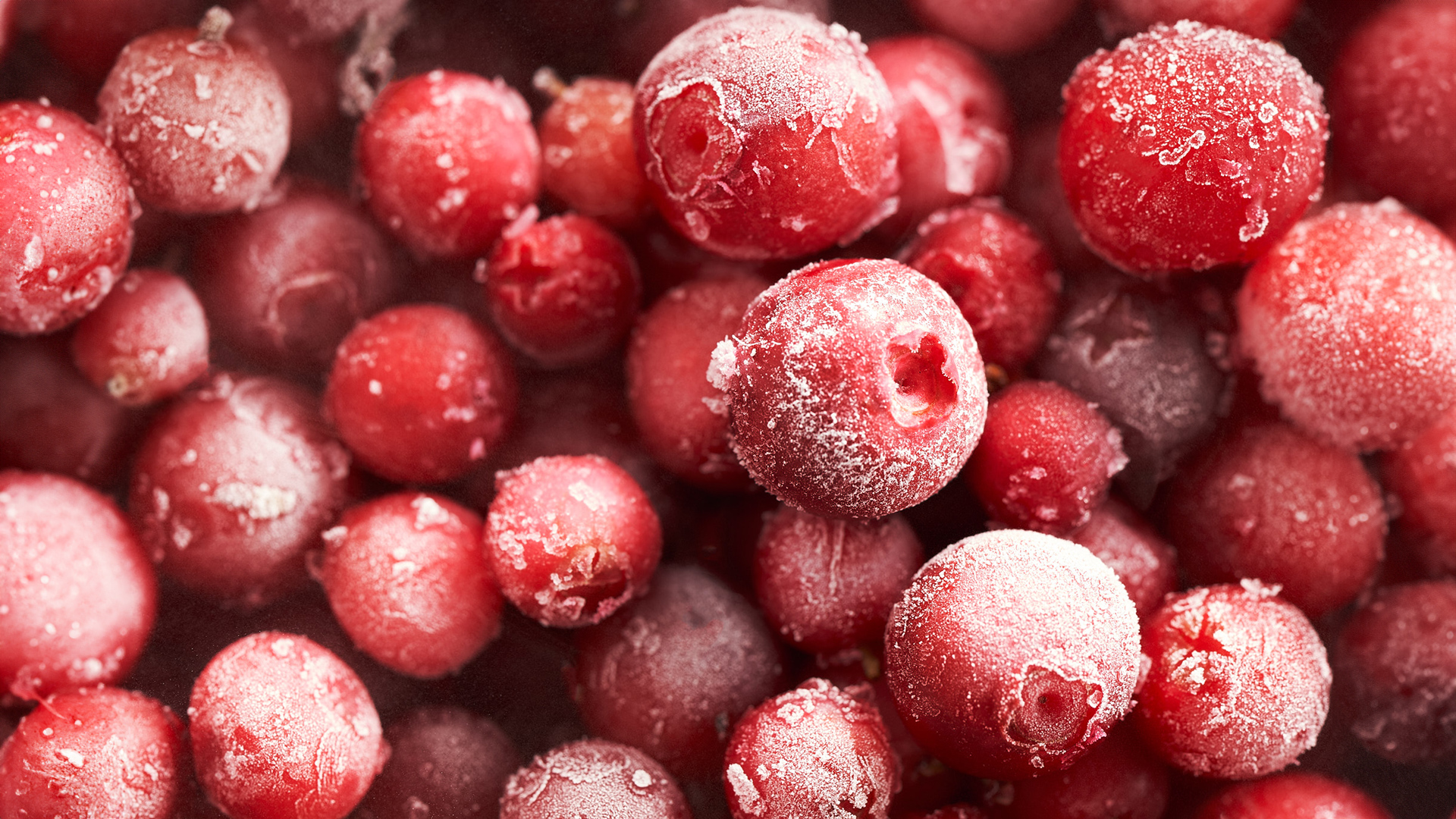 red-cranberry-frotz