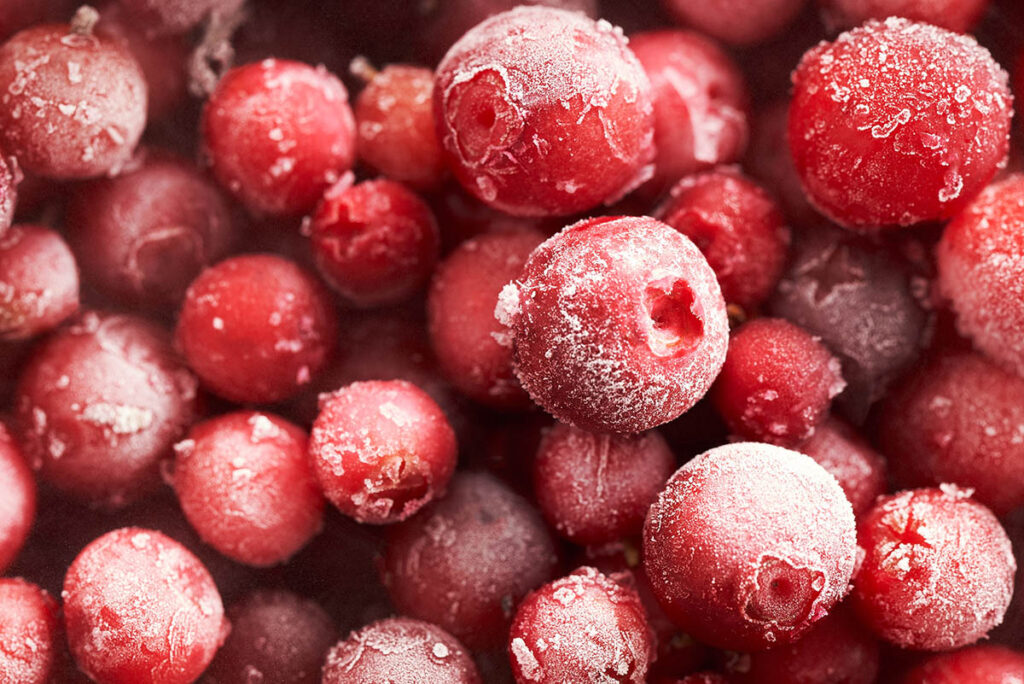 Arándano rojo ultracongelado IQF, perfecto para hostelería y cocina profesional. Frotz Fruits.
